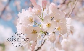 春・季節・桜・花咲く