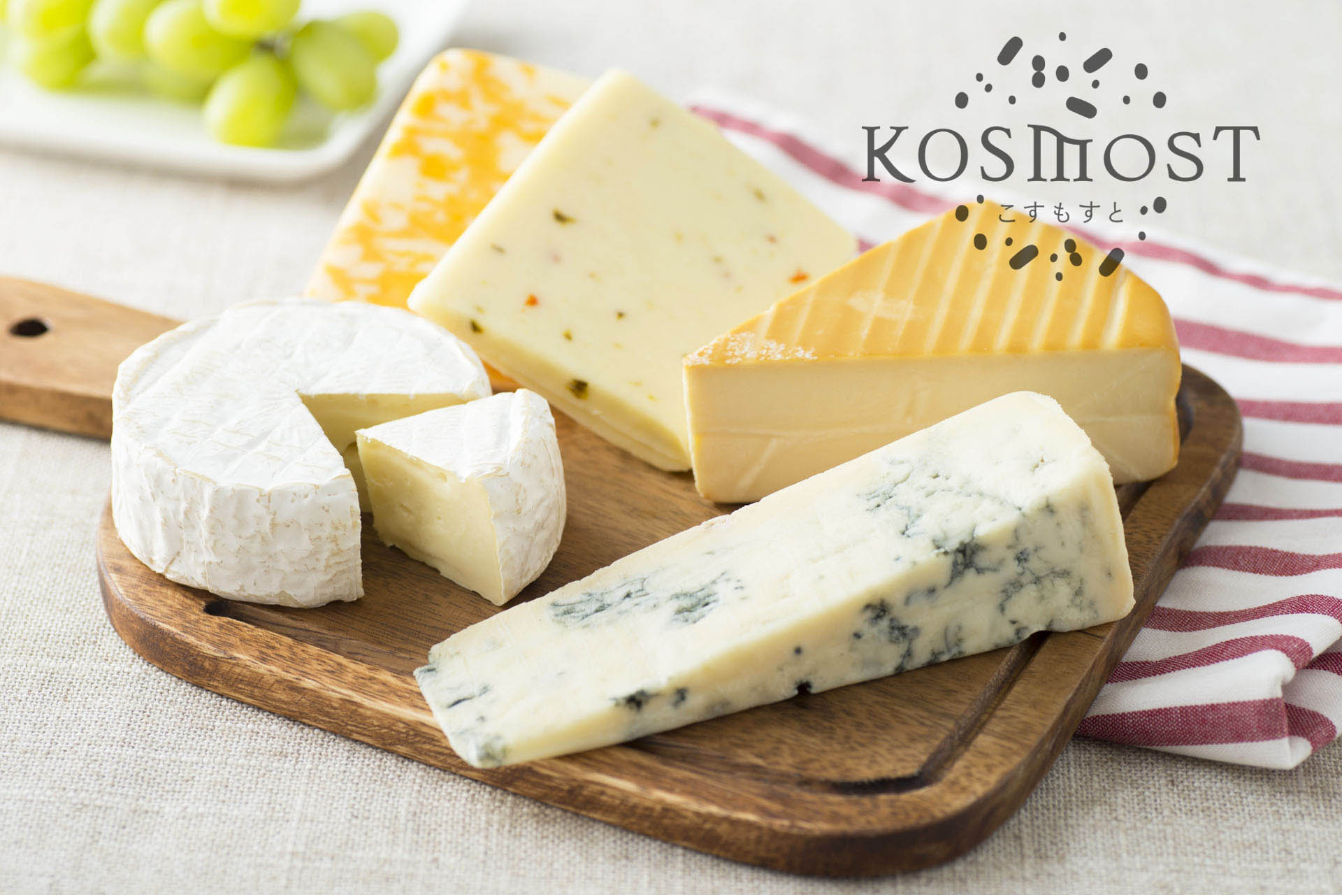 チーズ・発酵・乳酸菌