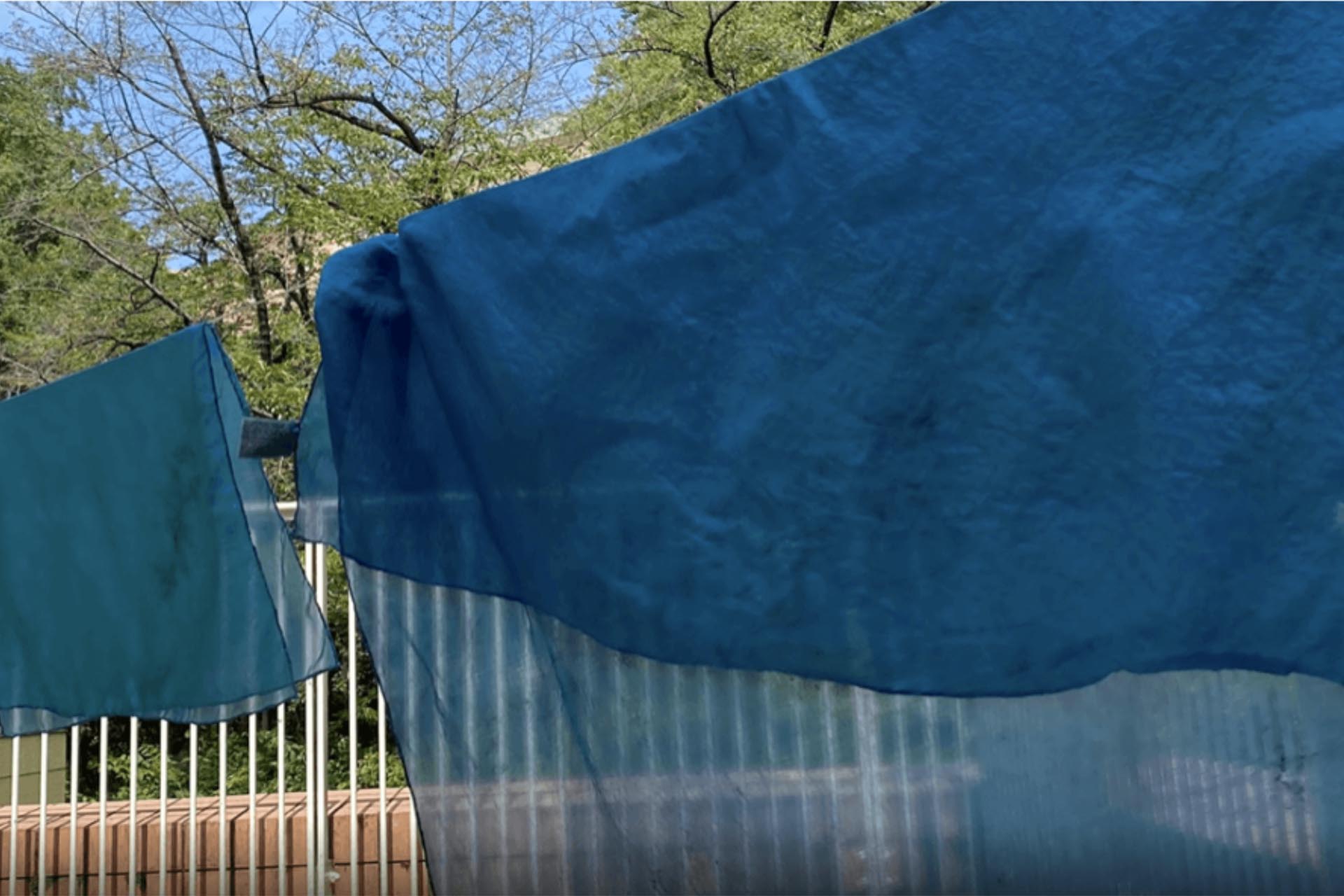 藍が育む 自然と人間と地域の発酵関係 とは 神田藍プロジェクト Kosmost