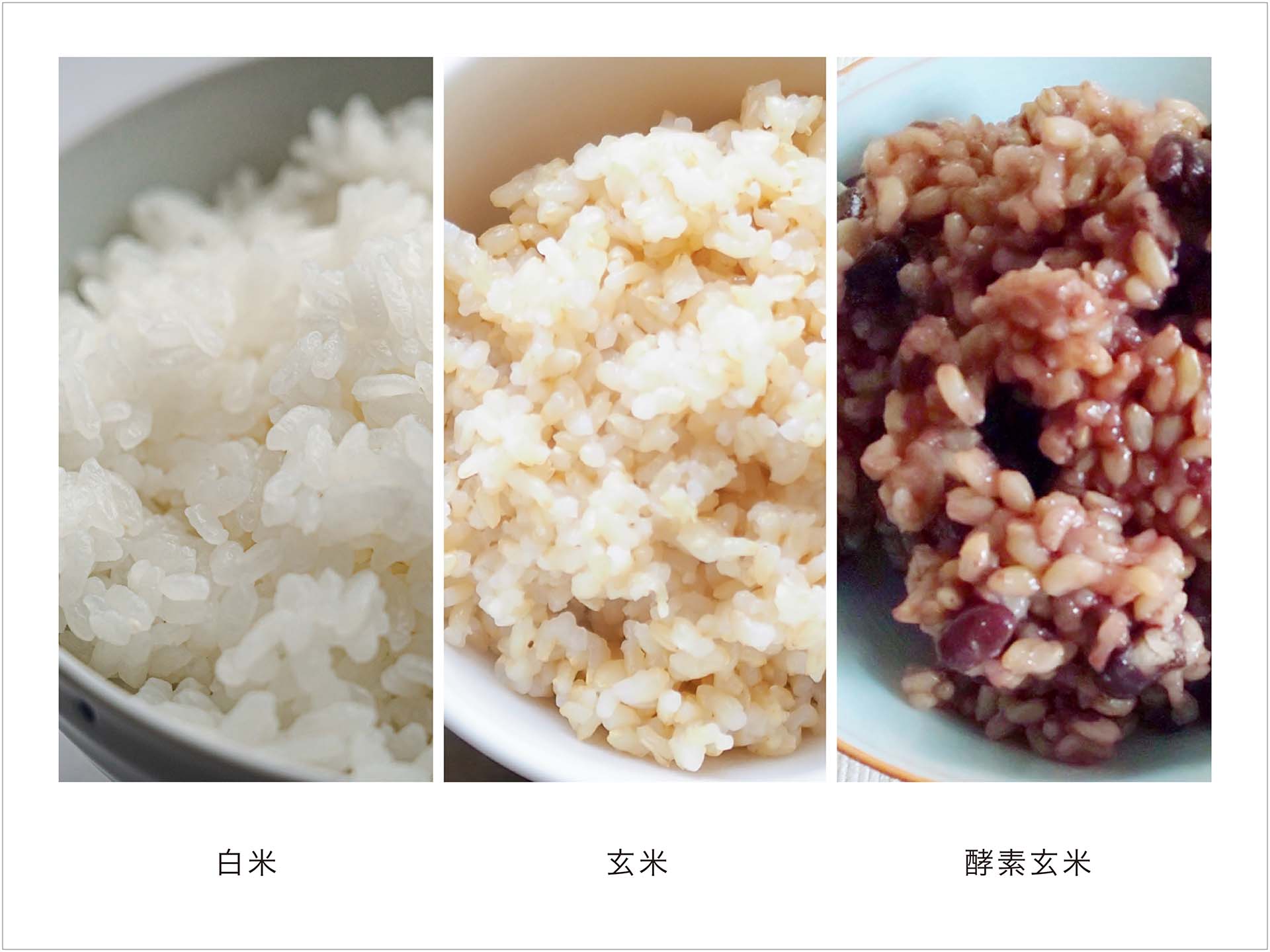 白米・玄米・酵素玄米