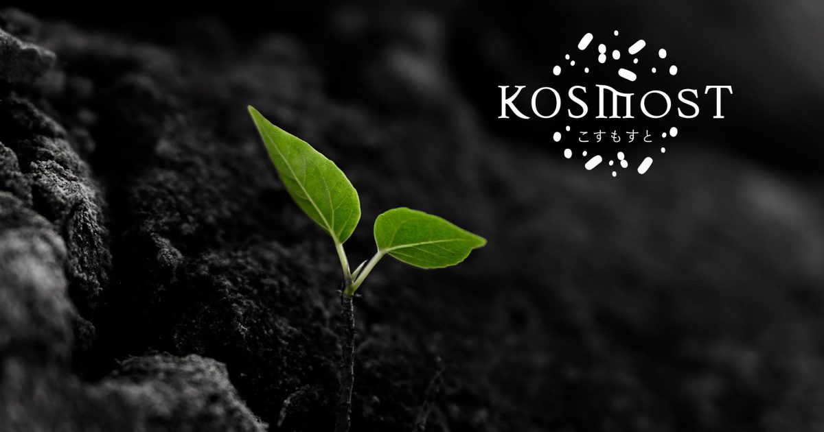 collaboration-between-plants-